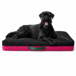 Matrac Golden Dog obojstranný M – 75 x 50 x 17 cm, ružový